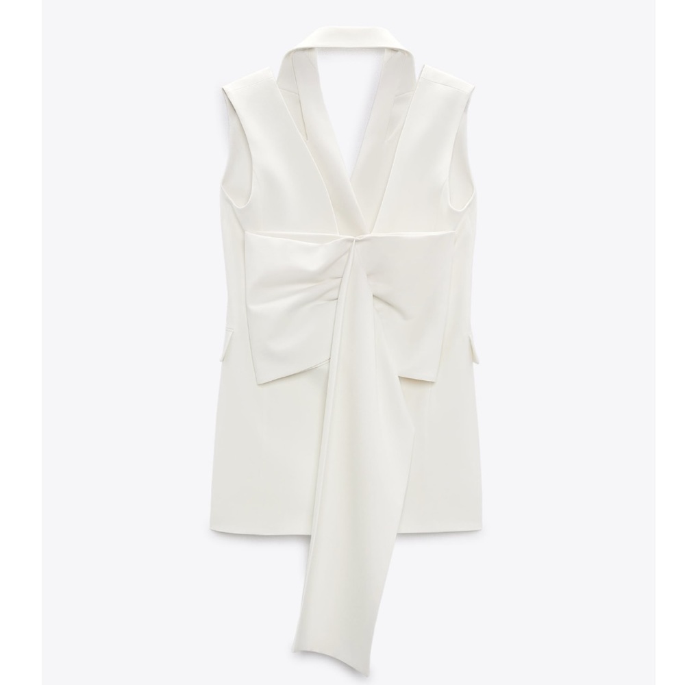 NWT Zara Limited Edition Bow Sleeveless Dress - Picture 9 of 16